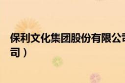 保利文化集团股份有限公司资产（保利文化集团股份有限公司）