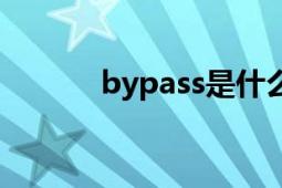 bypass是什么按键（bypass）