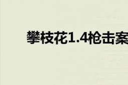 攀枝花1.4枪击案（14攀枝花枪击案）