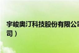 宇峻奥汀科技股份有限公司官网（宇峻奥汀科技股份有限公司）