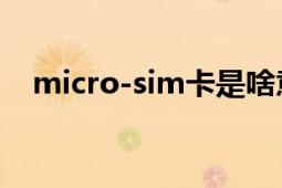 micro-sim卡是啥意思（Micro-SIM卡）