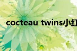 cocteau twins小红莓（Cocteau Twins）