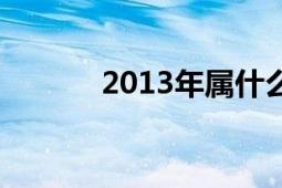 2013年属什么生肖（2013年）