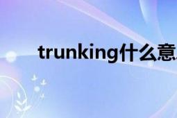 trunking什么意思中文（trunking）