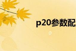 p20参数配置（P20钢材）