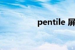 pentile 屏幕（pentile）