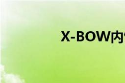 X-BOW内饰（X-BOW）