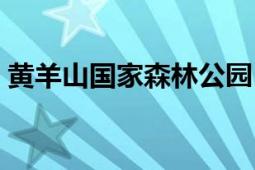 黄羊山国家森林公园（黄羊山国家森林公园）