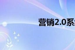 营销2.0系统（营销2.0）