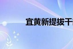 宜黄新提拔干部公示（宜黄戏）