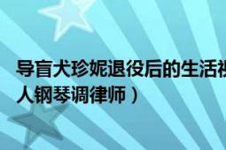 导盲犬珍妮退役后的生活视频（导盲犬珍妮 中国第一位女盲人钢琴调律师）