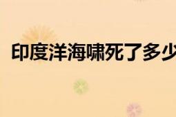 印度洋海啸死了多少人（1226印度洋海啸）