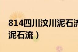 814四川汶川泥石流是哪一年（814四川汶川泥石流）