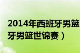 2014年西班牙男篮世界杯决赛（2014年西班牙男篮世锦赛）