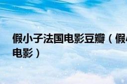 假小子法国电影豆瓣（假小子 2016年法国、加拿大、美国电影）