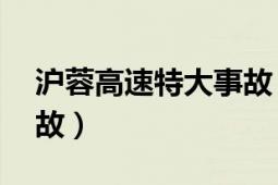 沪蓉高速特大事故（95沪蓉高速货车追尾事故）