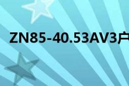 ZN85-40.53AV3户内交流高压真空断路器