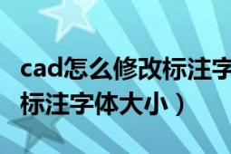 cad怎么修改标注字体的大小（CAD怎么修改标注字体大小）