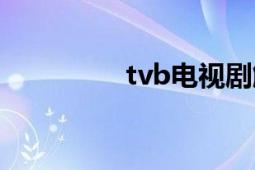 tvb电视剧解说（tvb体）