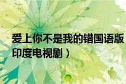 爱上你不是我的错国语版（爱上你不是我的错 2006年出品印度电视剧）