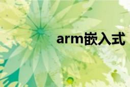 arm嵌入式（ARM嵌入式）