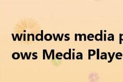 windows media player支持的格式（Windows Media Player）