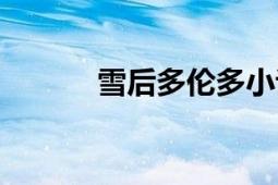 雪后多伦多小说（雪后多伦多）