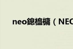 neo鎴橀槦（NEO 波兰电子竞技选手）