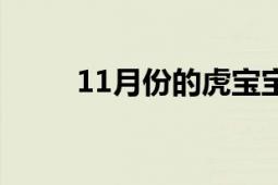 11月份的虎宝宝（11月份的节日）