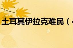 土耳其伊拉克难民（48土耳其难民冲突事件）