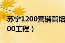 苏宁1200营销管培生校招待遇如何（苏宁1200工程）