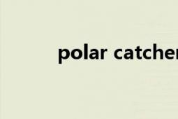 polar catcher（polar 磁性笔）