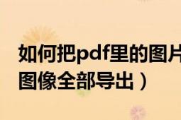 如何把pdf里的图片导出来（如何把PDF中的图像全部导出）