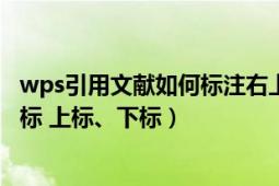 wps引用文献如何标注右上角（WPS中如何添加参考文献角标 上标、下标）