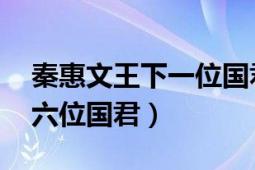 秦惠文王下一位国君（秦惠文王 秦国第二十六位国君）