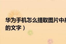 华为手机怎么提取图片中身份证（华为手机怎么提取图片中的文字）