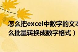 怎么把excel中数字的文本转数字格式 批量（Excel文本怎么批量转换成数字格式）