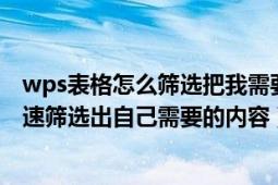 wps表格怎么筛选把我需要的筛选出来（wps表格中如何快速筛选出自己需要的内容）