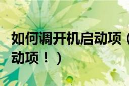 如何调开机启动项（怎么运行命令设置开机启动项！）