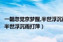 一朝忽觉京梦醒,半世浮沉雨打萍什么意思（一朝忽觉京梦醒半世浮沉雨打萍）