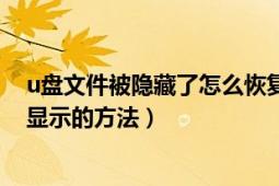 u盘文件被隐藏了怎么恢复正常（U盘文件被隐藏 快速恢复显示的方法）