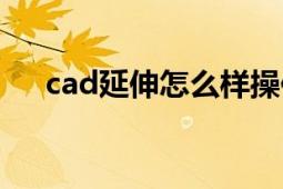 cad延伸怎么样操作（cad延伸怎么用）