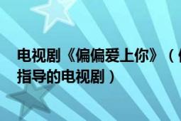 电视剧《偏偏爱上你》（偏偏爱上你 2012年蒋家骏、宋洋指导的电视剧）