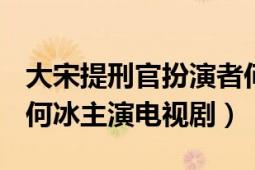 大宋提刑官扮演者何冰（大宋提刑官 2005年何冰主演电视剧）