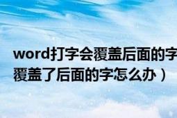 word打字会覆盖后面的字怎么办（word文件一打字就自动覆盖了后面的字怎么办）