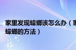 家里发现蟑螂该怎么办（家里发现蟑螂怎么办 如何快速消灭蟑螂的方法）