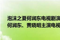 泡沫之夏何润东电视剧演员表（泡沫之夏 2010年徐熙媛、何润东、黄晓明主演电视剧）