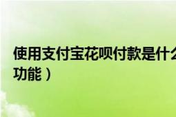 使用支付宝花呗付款是什么意思（什么是花呗——支付宝新功能）