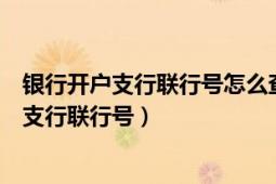 银行开户支行联行号怎么查（教你如何查询你的开户银行的支行联行号）