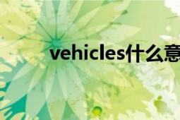 vehicles什么意思中文（vehicle）